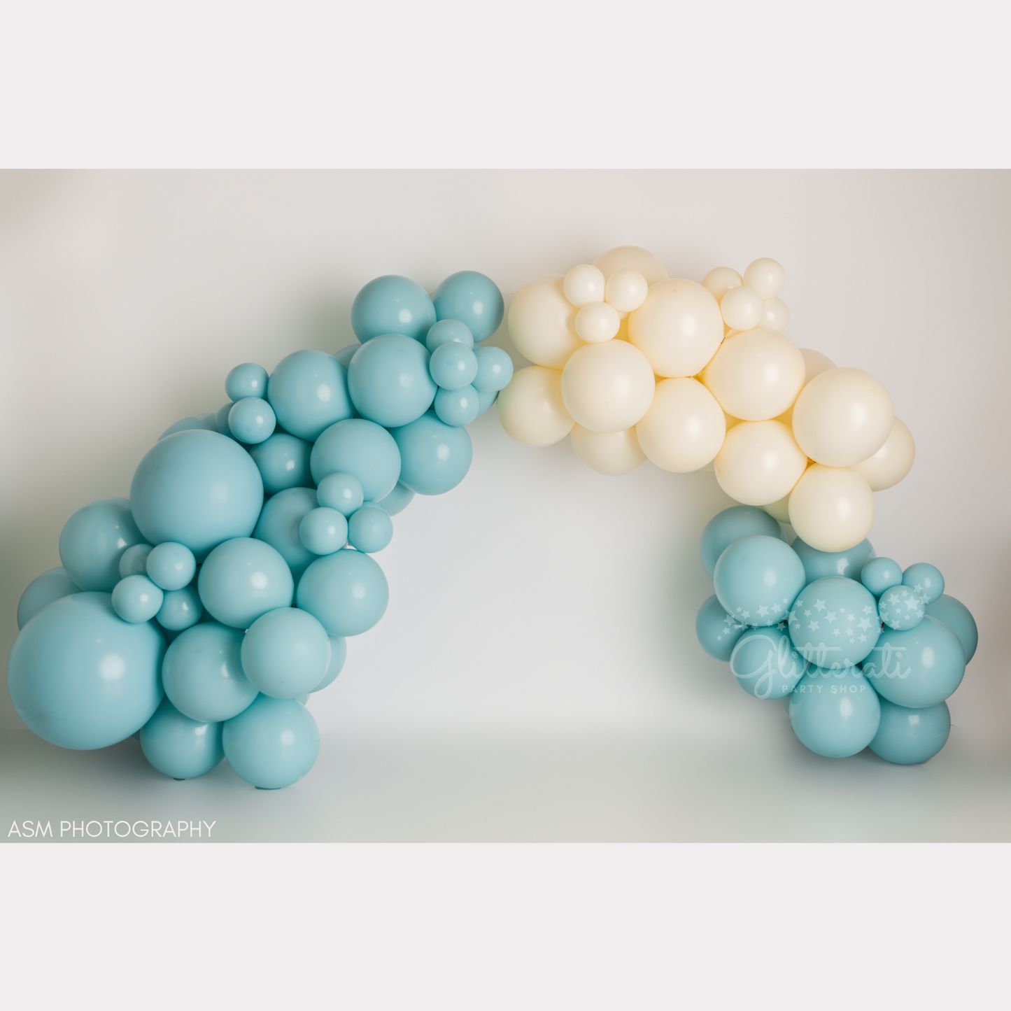 Blue Berry Balloon Garland Kit
