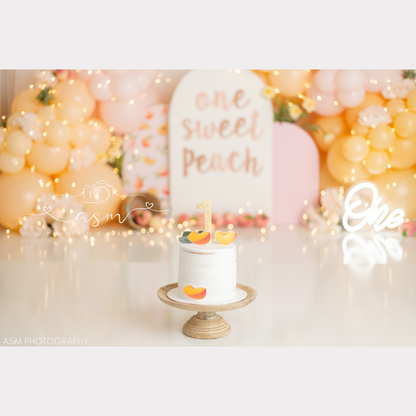 Sweet Peach Balloon Garland Kit