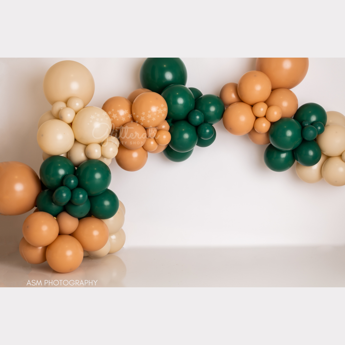 Mesozoic World Balloon Garland Kit