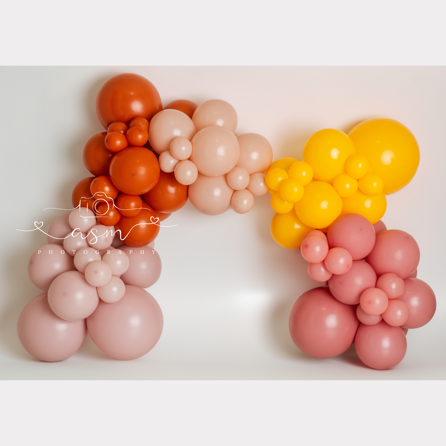 The Sunny Edit Balloon Garland Kit