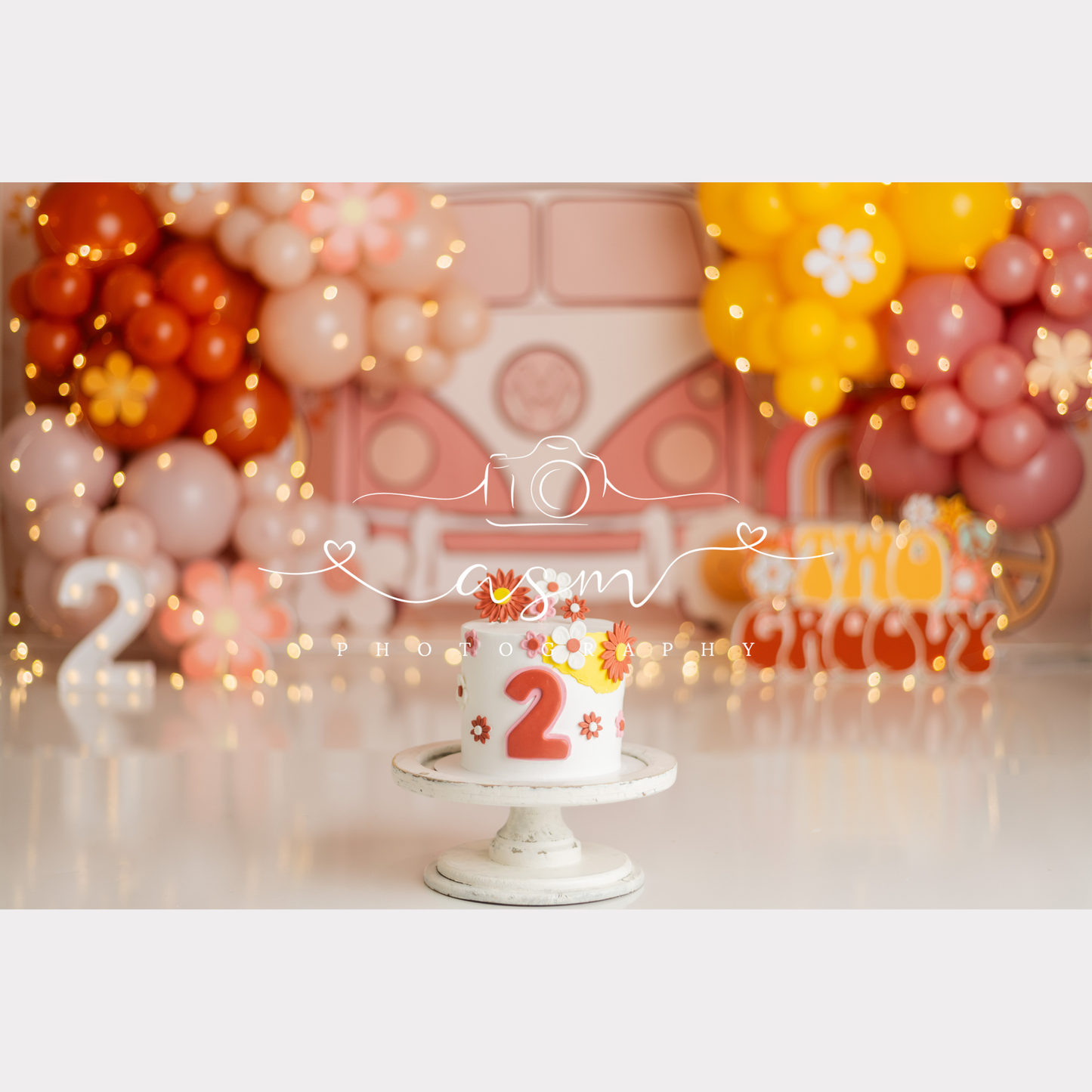 The Sunny Edit Balloon Garland Kit