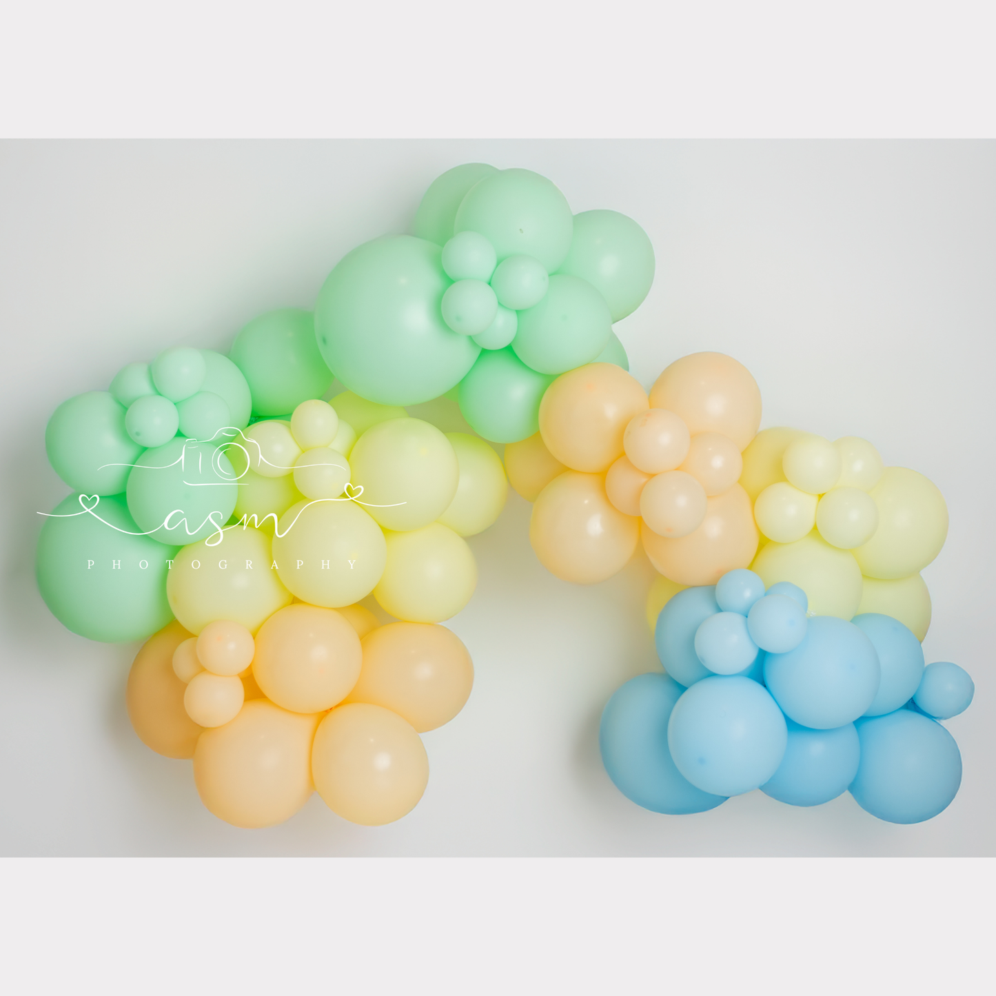 Tiny Tunes Balloon Garland Kit