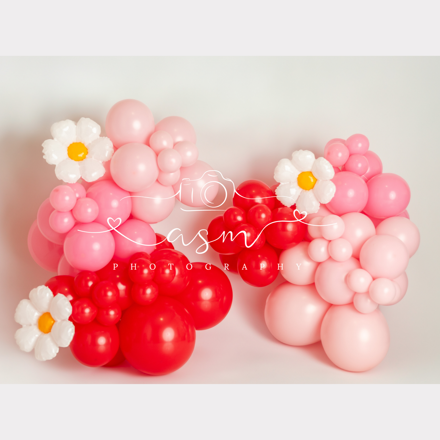Strawberry Fields Balloon Garland Kit