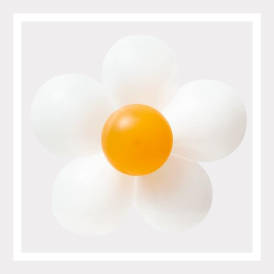 Daisy Flower Clip Set