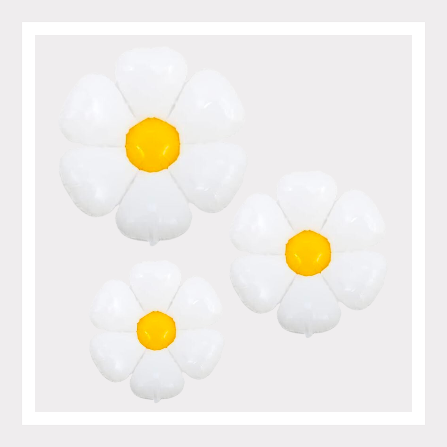 Daisy Inflatable Balloon Set